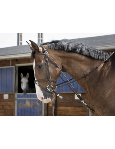 Gogue à poulies - Riding World