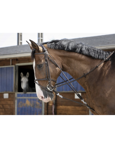 Gogue à poulies - Riding World