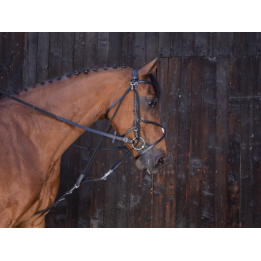 Gogue à poulies - Riding World