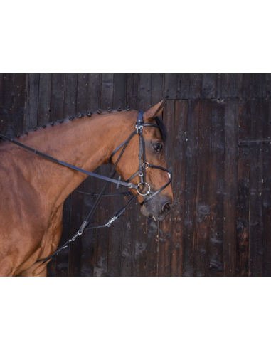 Gogue à poulies - Riding World