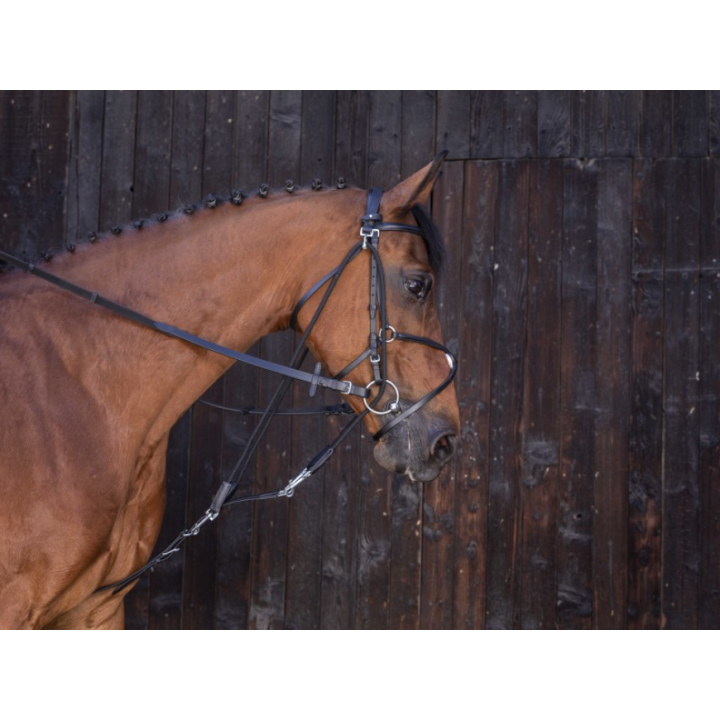 Gogue à poulies - Riding World