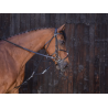 Gogue à poulies - Riding World
