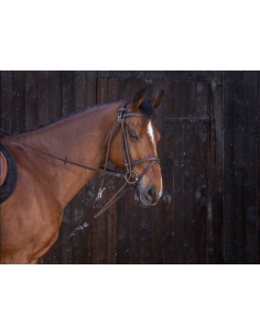Gogue à poulies - Riding World