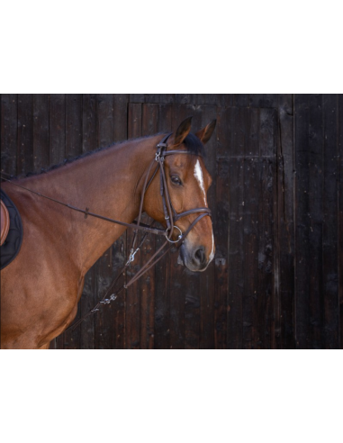 Gogue à poulies - Riding World