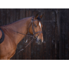 Gogue à poulies - Riding World