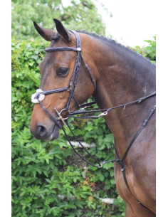 Enrênement Howlett - Jump'In 2