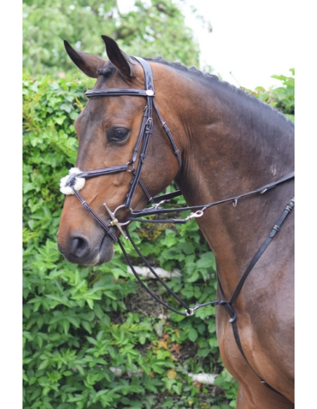 Enrênement Howlett - Jump'In