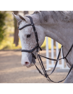 Enrênement Howlett - Jump'In
