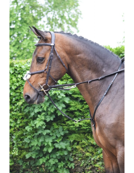 Enrênement Howlett - Jump'In