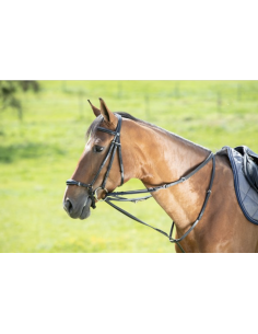 Enrênement Howlett - HFI