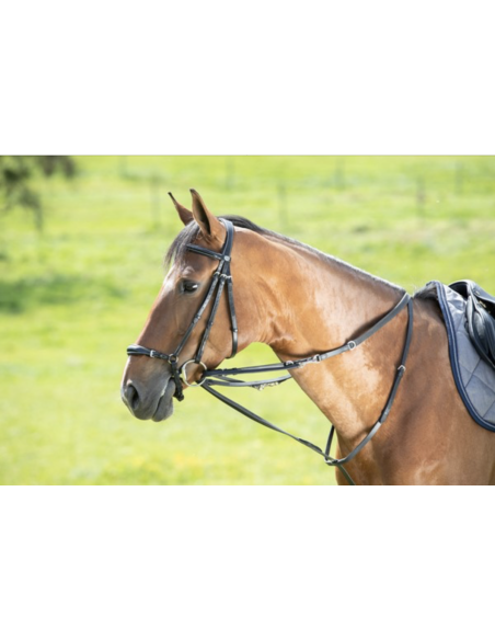 Enrênement Howlett - HFI