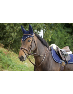 Enrênement Howlett - HFI 2