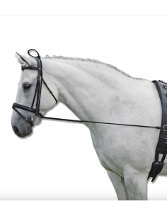 Elongateur d'encolure élastique - Waldhausen