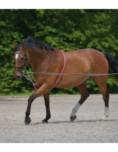 Enrênement Peli - Waldhausen