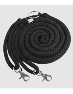 Enrênement Peli - Waldhausen 2