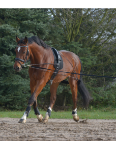 Enrênement Pessoa - Waldhausen