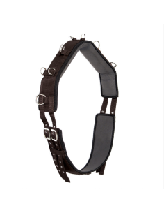 Surfaix Cob - Umbria Equitazione 2