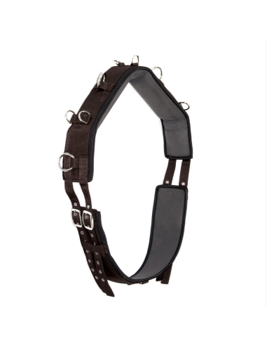 Surfaix Cob - Umbria Equitazione