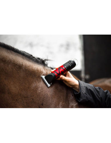 Tondeuse Harmony Plus (2.4mm) - Liveryman