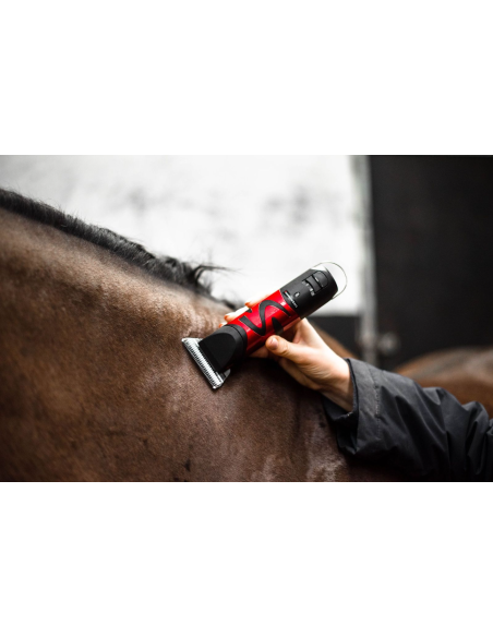 Tondeuse Harmony Plus (2.4mm) - Liveryman