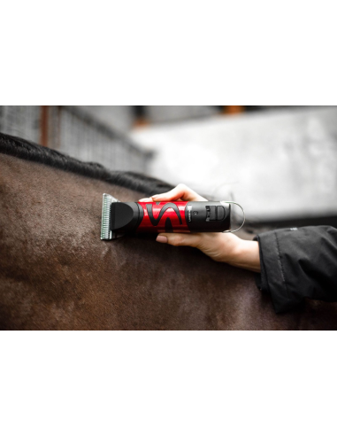 Tondeuse Harmony Plus (2.4mm) - Liveryman