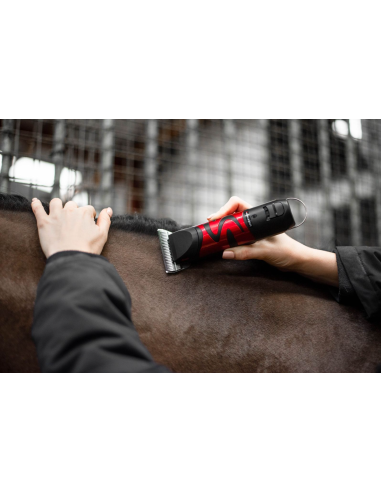 Tondeuse Harmony Plus (2.4mm) - Liveryman