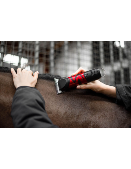 Tondeuse Harmony Plus (2.4mm) - Liveryman