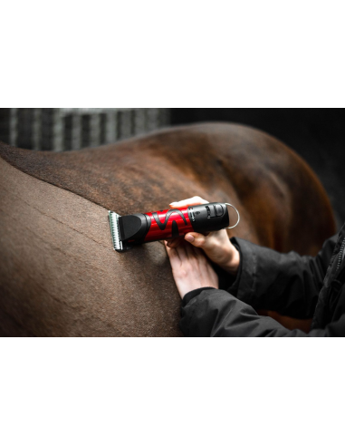 Tondeuse Harmony Plus (2.4mm) - Liveryman