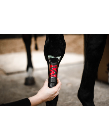 Tondeuse Harmony Plus (2.4mm) - Liveryman