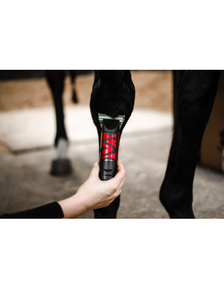 Tondeuse Harmony Plus (2.4mm) - Liveryman