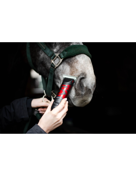 Tondeuse Harmony Plus (2.4mm) - Liveryman