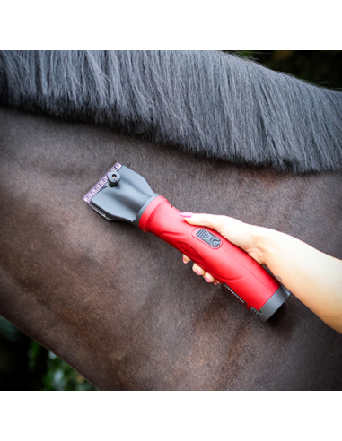 Tondeuse Phoenix avec peignes A2 (2.4mm) -...