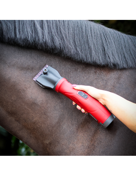 Tondeuse Phoenix avec peignes A2 (2.4mm) - Liveryman