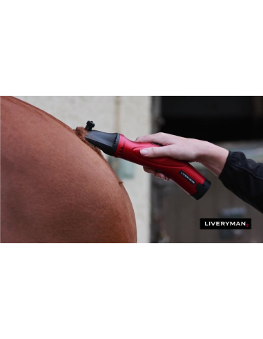 Tondeuse Phoenix avec peignes A2 (2.4mm) -...