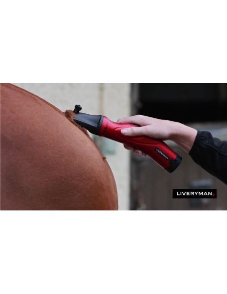 Tondeuse Phoenix avec peignes A2 (2.4mm) - Liveryman