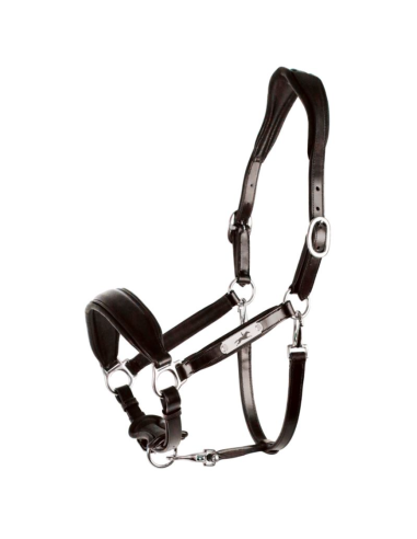 Licol en Cuir Fremont Pro - Schockemöhle