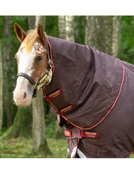 Couvre cou Amigo 1200D Turnout Hood 150g - Horseware