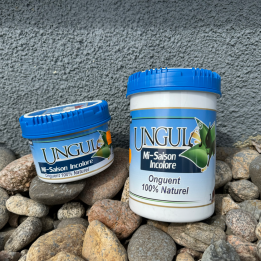 Onguent Mi Saison Incolore - Ungula