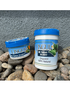 UNGULA Mi-saison : Incolore
