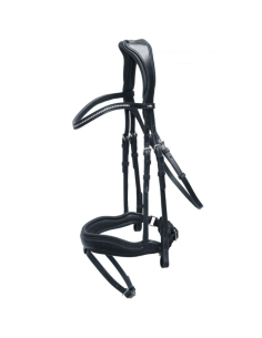 Bridon Stanford - Schockemöhle 2