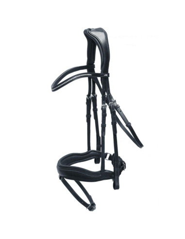 Bridon Stanford - Schockemöhle