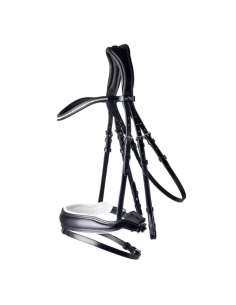 Bridon Stanford - Schockemöhle 2