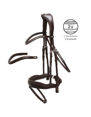 Bridon Stanford - Schockemöhle