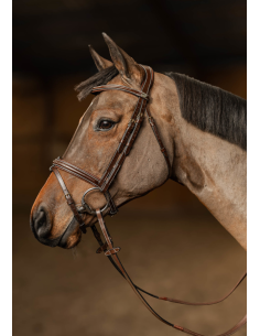 Bridon Milano - HFI 2