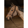 Bridon Milano - HFI