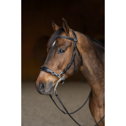 Bridon Hackamore - HFI