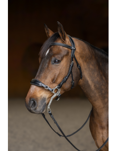 Bridon Hackamore - HFI