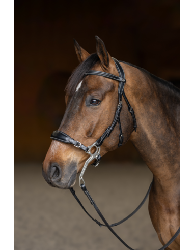 Bridon Hackamore - HFI