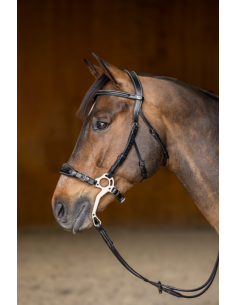 Bridon Hackamore - HFI 2