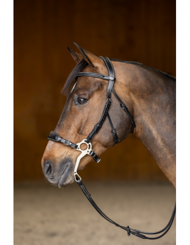 Bridon Hackamore - HFI
